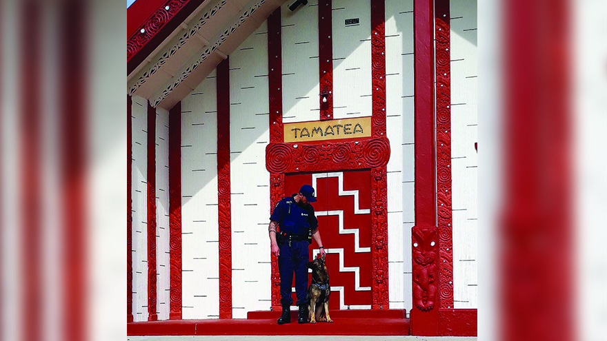 #WATCH: This police dog understands Te Reo Māori!