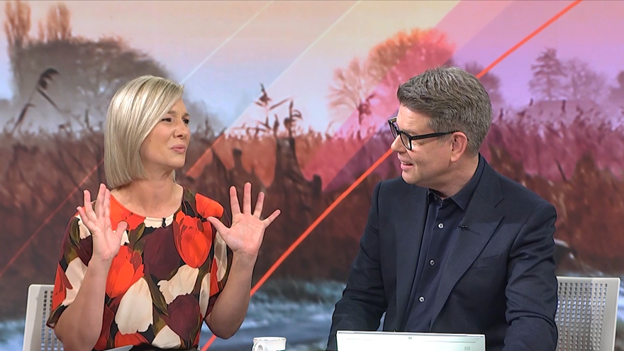 Breakfast's Hayley Holt says the Haka is 'over-used'