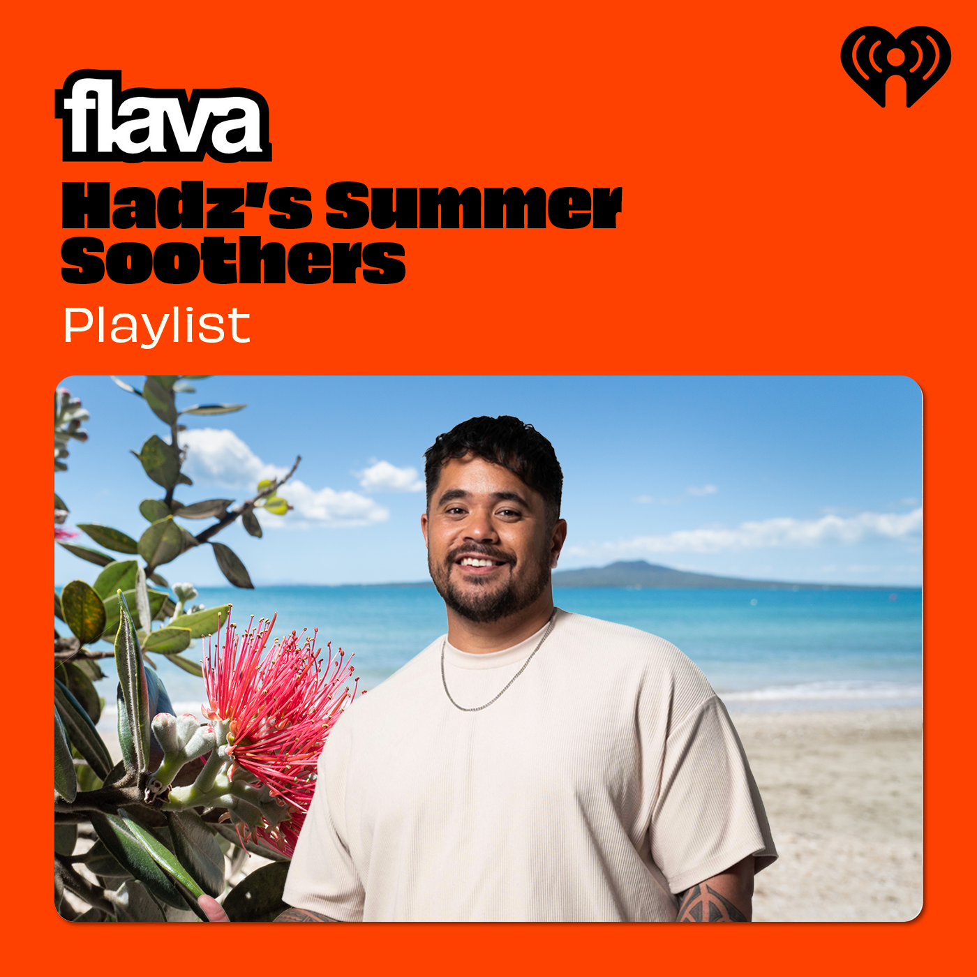 Hadz's Summer Soothers