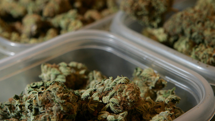 New Zealand passes medicinal cannabis law