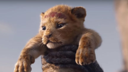 A new Lion King trailer has been released and it's the cutest yet!