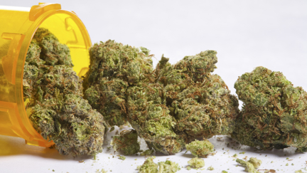 Jacinda Ardern just revealed whether she's ever smoked weed before!