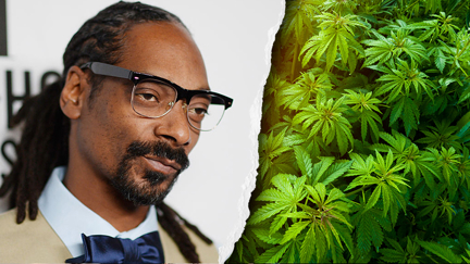 Snoop Dogg has a professional person to roll his blunts