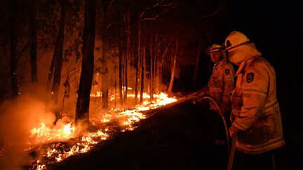 Want to donate towards the Australian Bushfire relief?