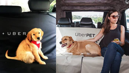 Uber Pets has launched in Aotearoa!