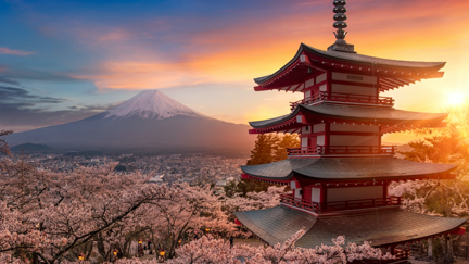 Japan is apparently offering to pay for half of tourists' travel costs to boost tourism