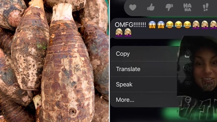 Kiwi Tiktoker shares awkward te reo Māori mixup