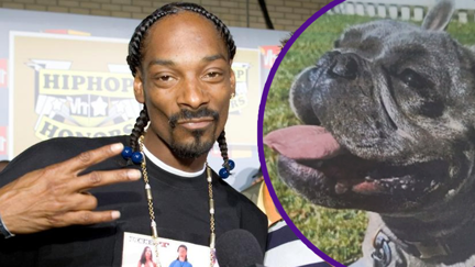 Watch Snoop Dogg thank fans for the safe return of his French bulldog Frank!