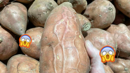 Unusual kūmara goes viral on social media for SOME reason